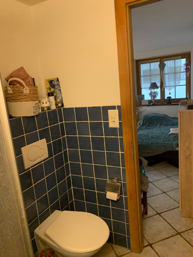 Studio mit Möbeln in Châble (3)