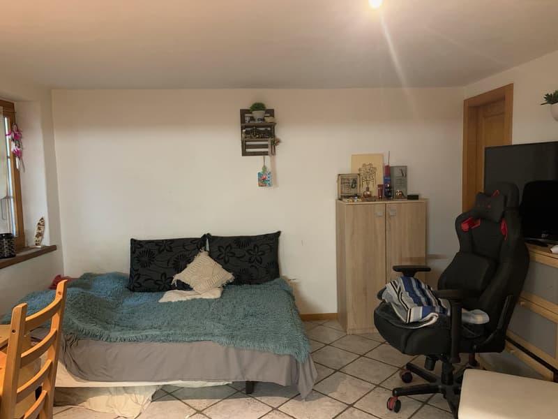 Studio mit Möbeln in Châble (2)