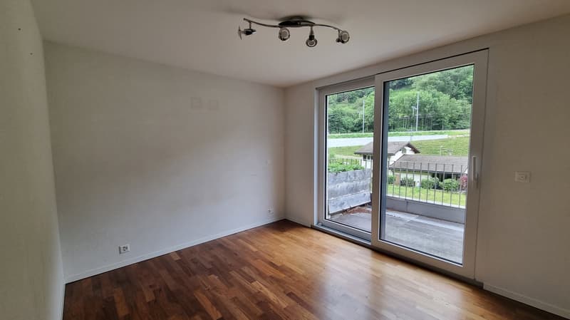 Appartement lumineux de 3.5 pièces à louer (4)