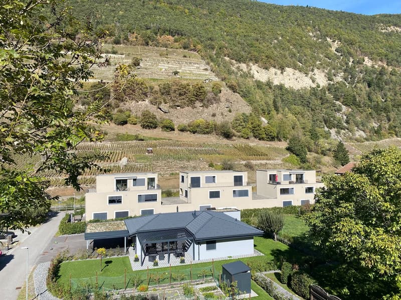 Appartement lumineux de 3.5 pièces à louer (1)