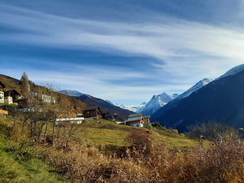 Rural village on hillside, several wooden chalets, snowy mountains in distance, lush green and brown landscape