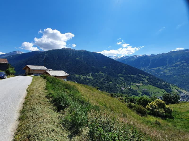 Mountain landscape with two houses beside the road, surrounded by green fields and trees, mountains in the background under a blue sky with clouds.