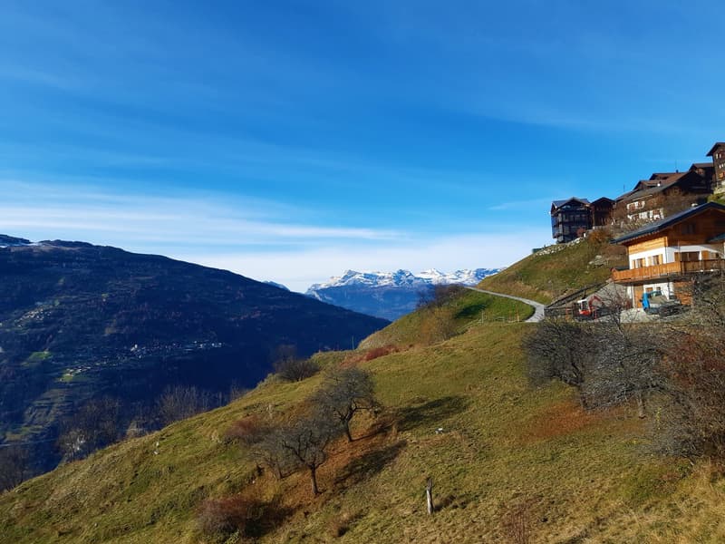 Mountainside property, wooden chalets, distant snow-capped mountains, clear blue sky, sloped terrain, a small road, distant village, trees, green grass patches, and exposed hillside.