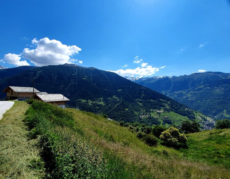 Rustic house, stone wall, grassy slope, mountain range, trees, clear sky, mountains