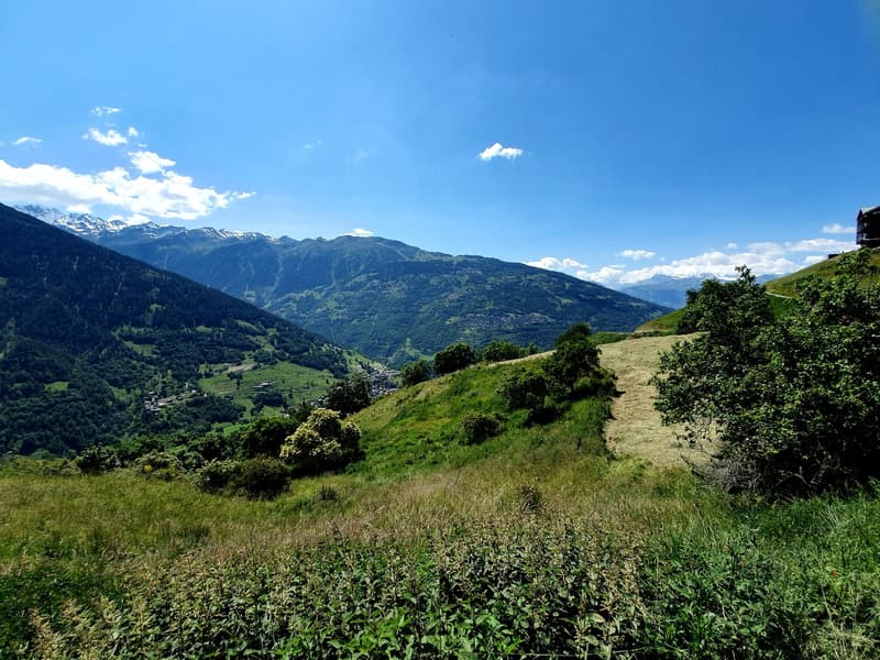 Mountain range, grassy field, trees, distant buildings, clear sky, sunny weather