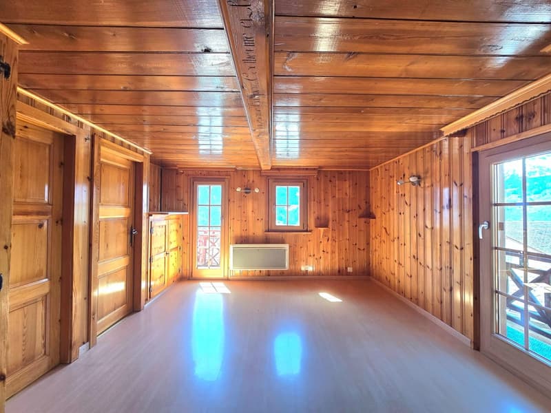 wooden walls, wooden floor, two windows, sliding glass door, wooden doors, heater