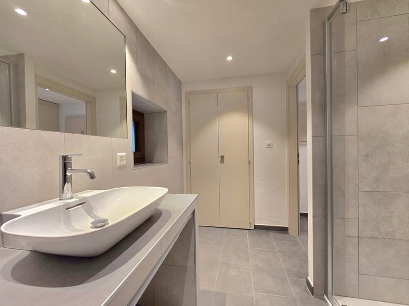 Charming 2.5-room apartment completely renovated in St-Martin (Val d'Hérens) (10)