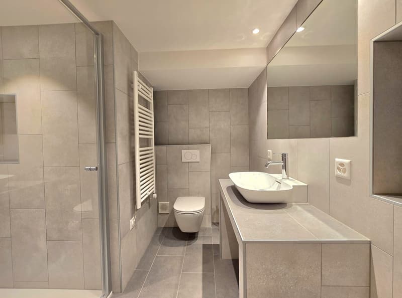 Charming 2.5-room apartment completely renovated in St-Martin (Val d'Hérens) (9)