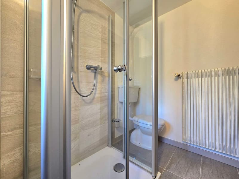 3.5-room apartment and commercial space with potential for conversion into a duplex in Euseigne (13)