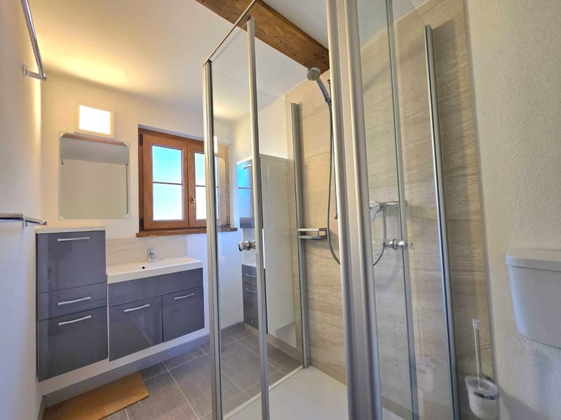 3.5-room apartment and commercial space with potential for conversion into a duplex in Euseigne (12)