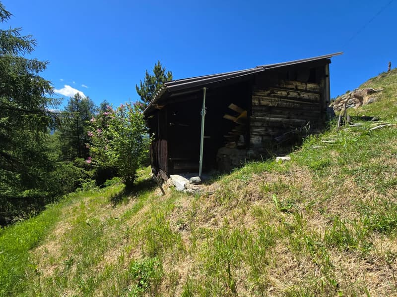 Objet rare au cœur du Val d’Hérens : authentique mayen dans les mayens de Suen (St-Martin) (21)