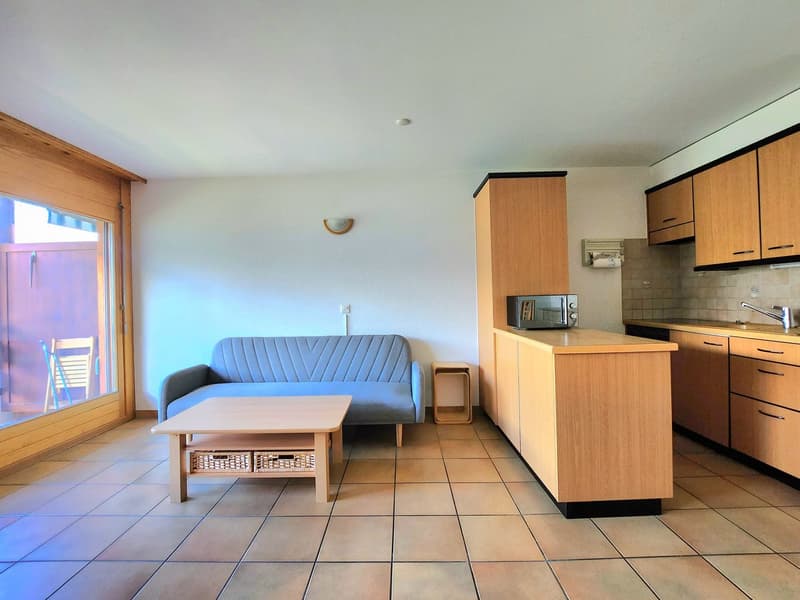 Charmantes 2.5-Zimmer-Wohnung mit herrlicher Aussicht in St-Martin (Val d’Hérens) (5)