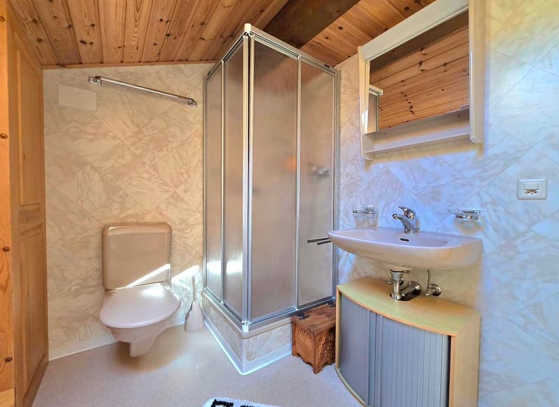 Magnifique chalet familial de 2 appartements. Annexes, extérieur, soleil et vue, Val d’Hérens (16)