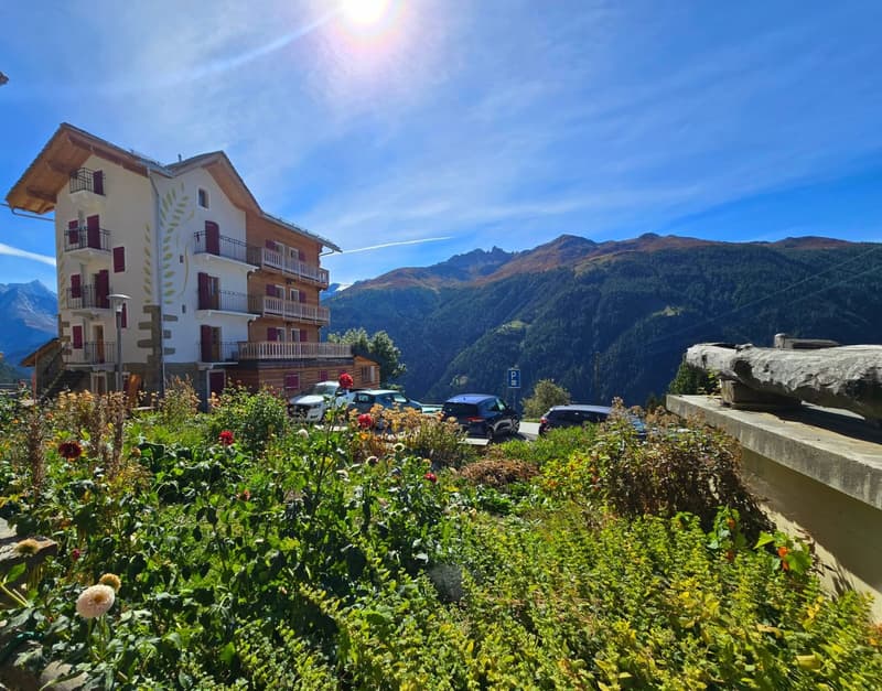 Charmant appartement à Eison (Val d’Hérens) avec vue, grand jardin et garage (17)