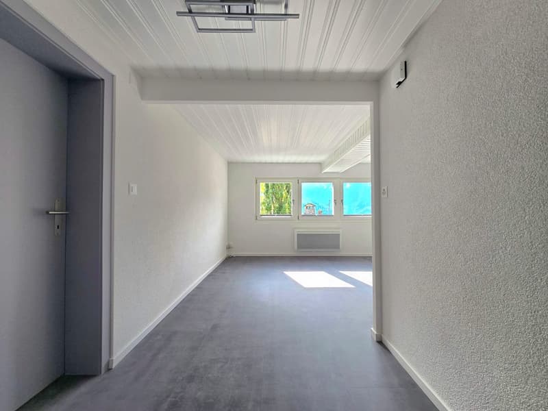 Charmant appartement 3.5 p à St-Martin (Val d’Hérens) (14)