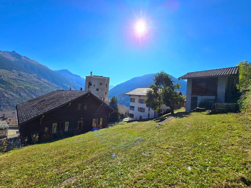 Grande maison familiale avec 2 appartements, surface commerciale, grange et extérieur à Hérémence (37)
