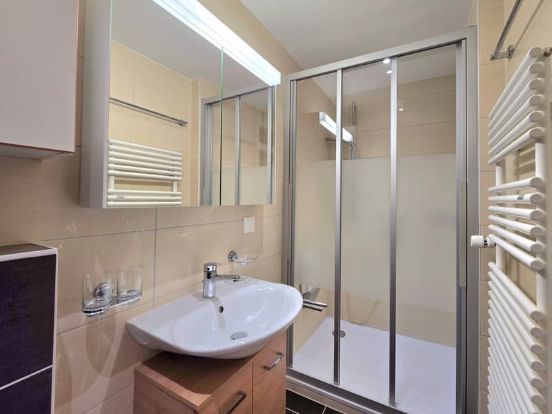 Grande maison familiale avec 2 appartements, surface commerciale, grange et extérieur à Hérémence (13)