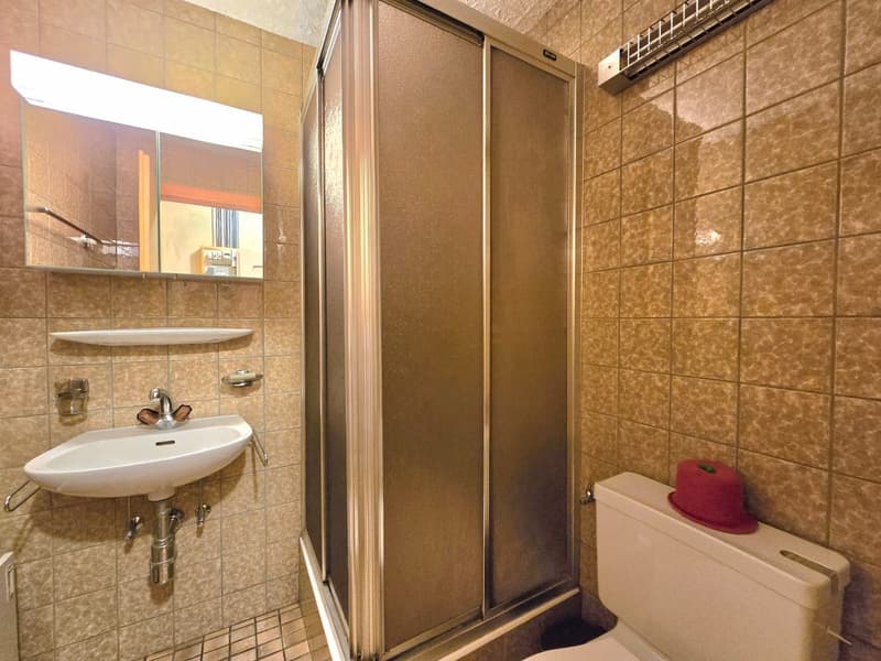 Grande maison familiale avec 2 appartements, surface commerciale, grange et extérieur à Hérémence (34)
