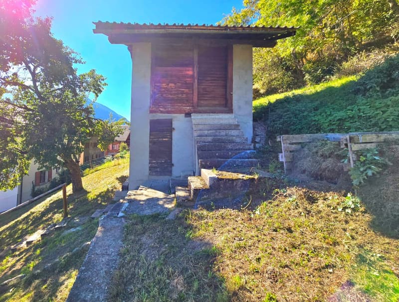 Grande maison familiale avec 2 appartements, surface commerciale, grange et extérieur à Hérémence (36)