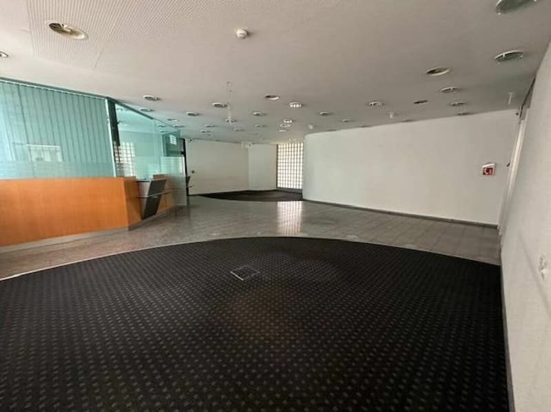 Shop 447 m2 in Peseux (6)