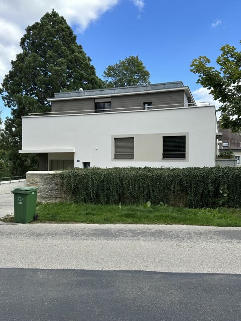 La Chaux-de-Fonds - Grand attique de 3,5 pièces (21)
