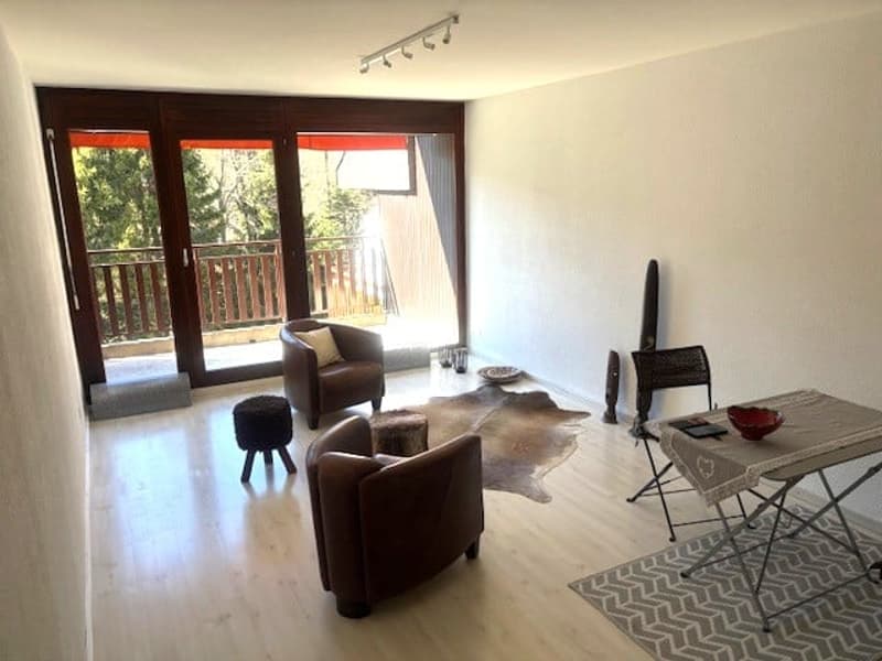 wooden floor, large windows, balcony, brown chairs, table, rug, decorative items