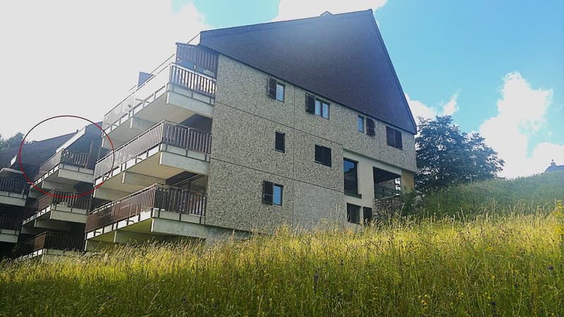 Charmant appartement 2.5 pièces avec balcon à St-Cergue (9)