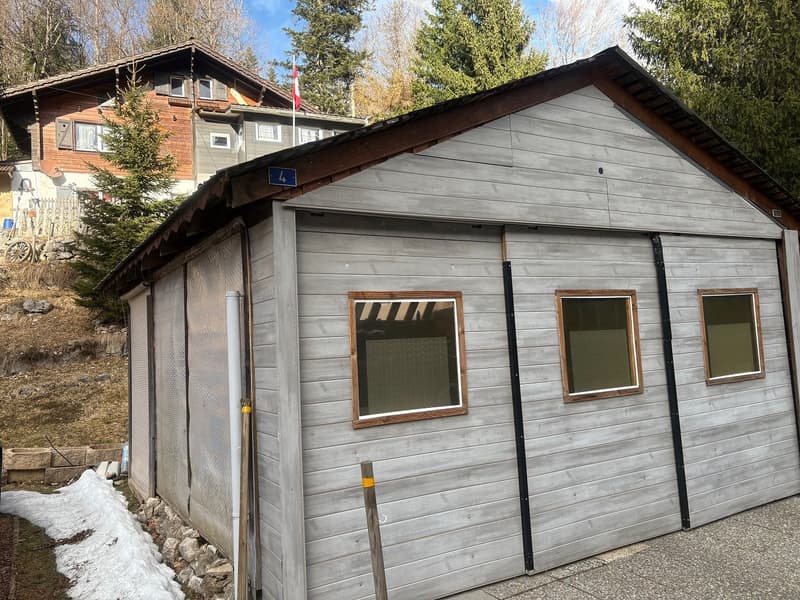 St-Cergue - lovely 4.5-room chalet (2)