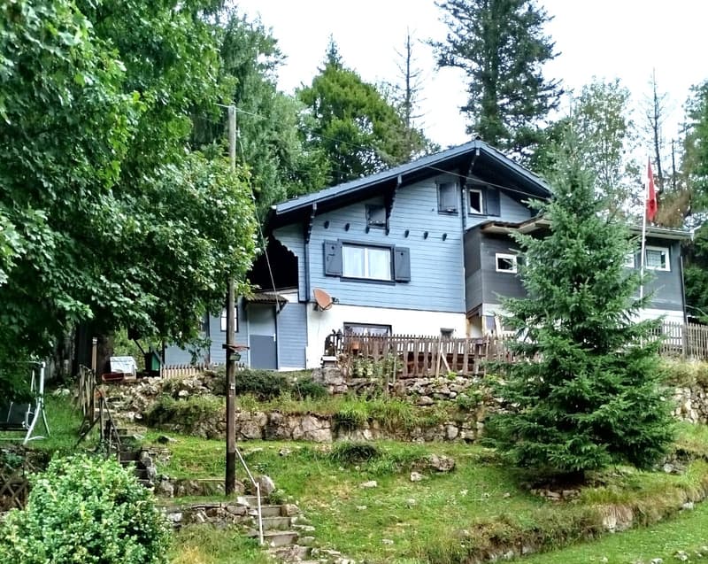 St-Cergue - lovely 4.5-room chalet (1)
