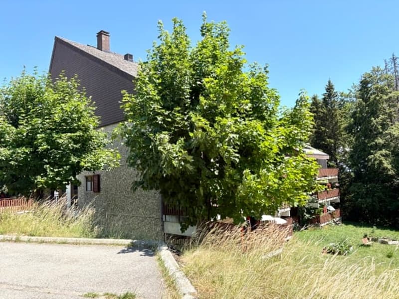 Charmantes 3.5-Zimmer-Wohnung mit Möbeln in St-Cergue mit Aussicht und Balkon (2)
