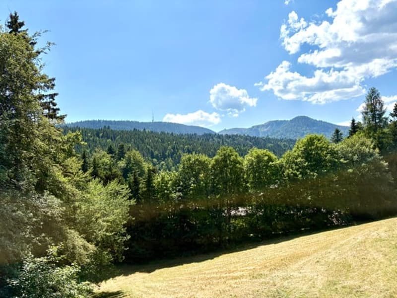 Charmantes 3.5-Zimmer-Wohnung mit Möbeln in St-Cergue mit Aussicht und Balkon (1)