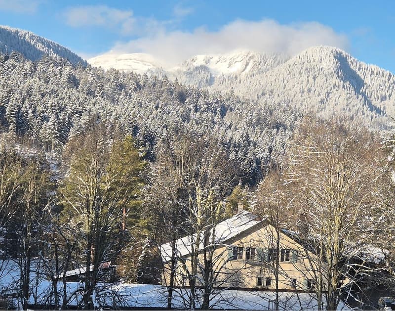 Charmantes 3.5-Zimmer-Wohnung mit Möbeln in St-Cergue mit Aussicht und Balkon (10)