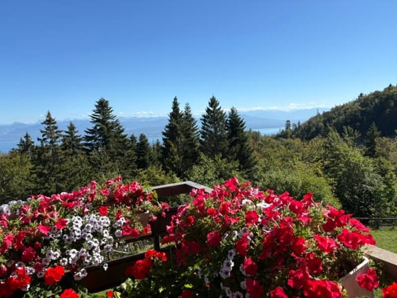 Appartement de 3.5 pièces avec vue panoramique à St-Cergue (2)
