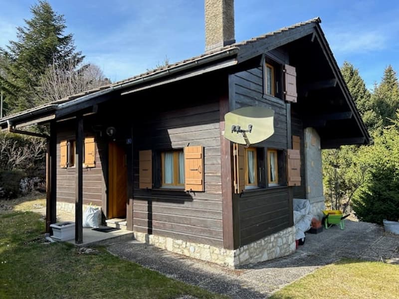 Adorable chalet à Saint-Cergue (1)