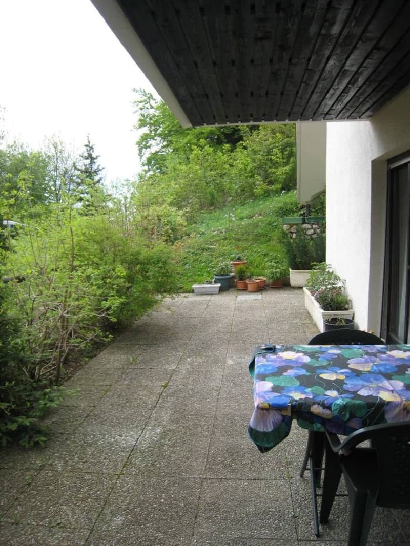 Charmant appartement avec terrasse à Saint-Cergue (5)
