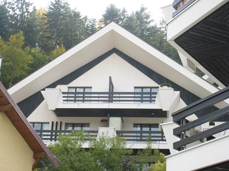 Charmant appartement avec terrasse à Saint-Cergue (6)