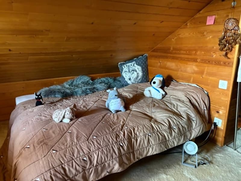 St-Cergue - chalet individuel avec vue sur les Alpes (18)