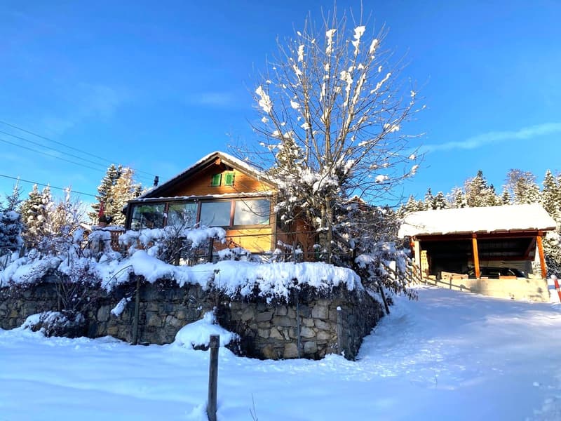 St-Cergue - chalet individuel avec vue sur les Alpes (4)