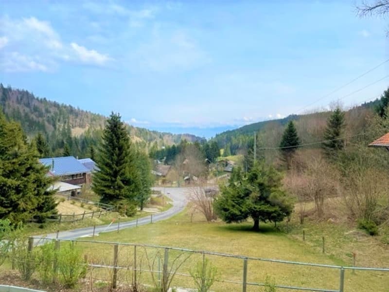 St-Cergue - chalet individuel avec vue sur les Alpes (8)