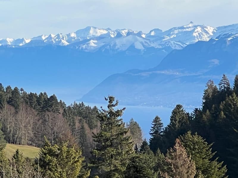 St-Cergue - chalet individuel avec vue sur les Alpes (1)