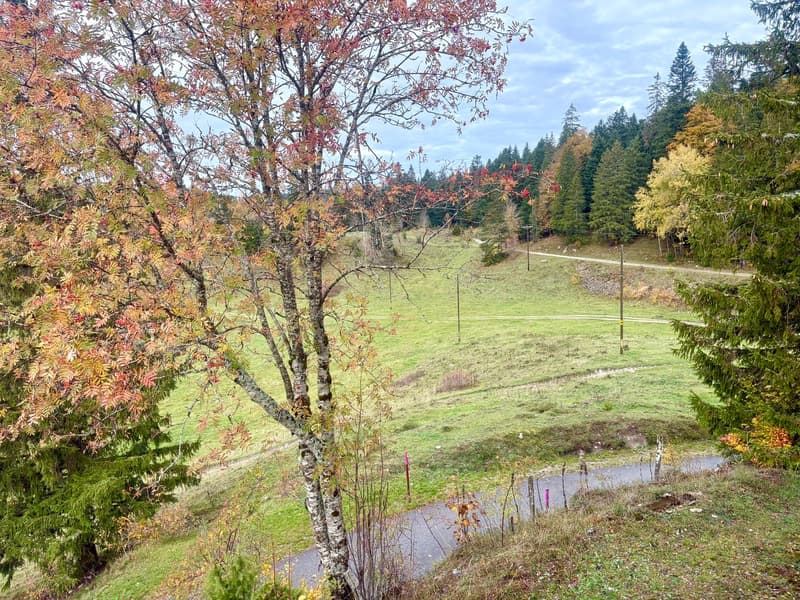 Chalet chaleureux de 3 pièces à St-Cergue avec vue et cachet montagnard (1)