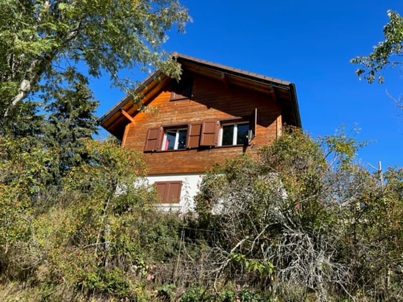 Chalet chaleureux de 3 pièces à St-Cergue avec vue et cachet montagnard (3)