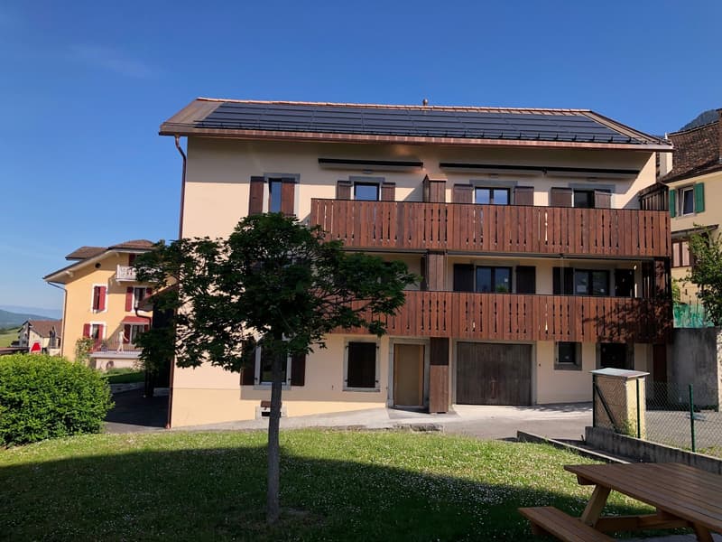 Prächtiges Duplex von 4.5 Zimmern komplett renoviert (7)