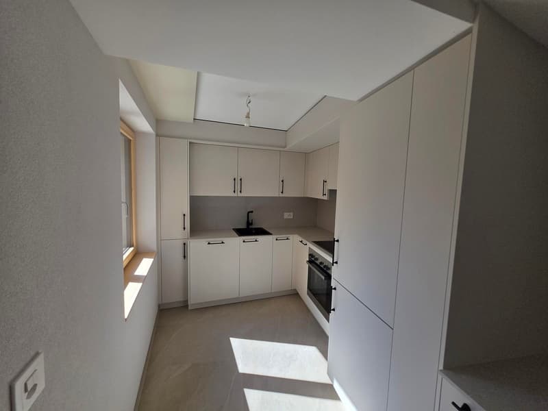 Magnificent 4.5-room duplex completely renovated (8)