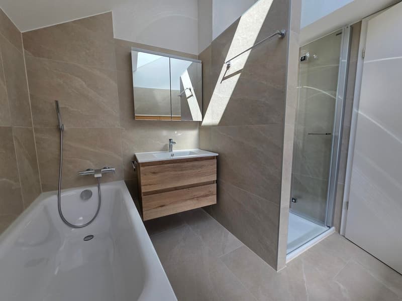 Magnificent 4.5-room duplex completely renovated (10)