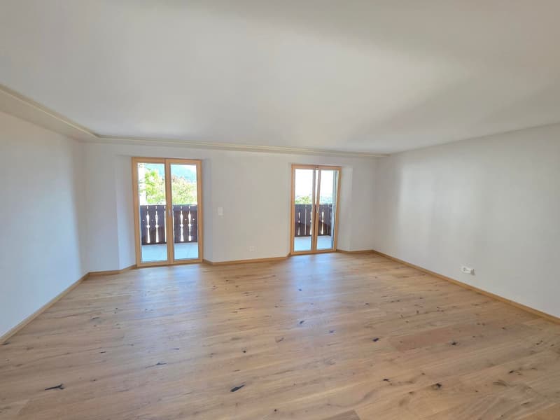 Magnificent 4.5-room duplex completely renovated (9)