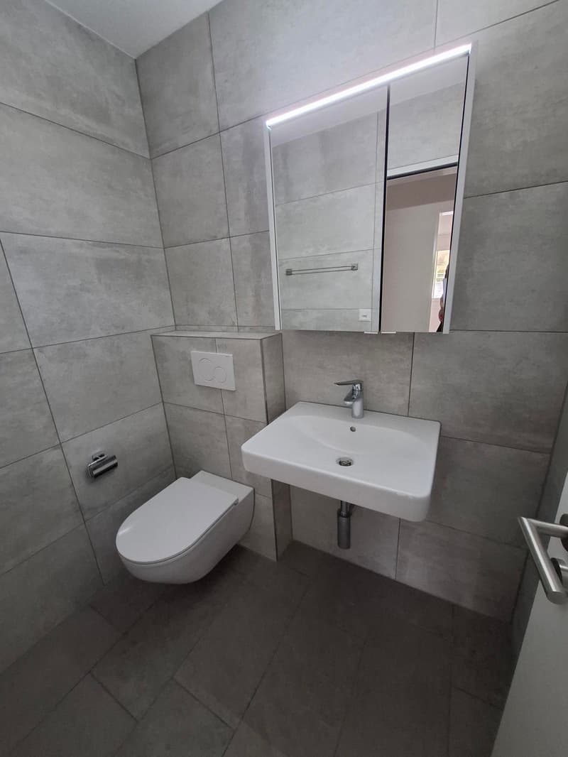 The image shows a modern bathroom with gray tile walls and floors, a white sink with a faucet, and a white toilet. The bathroom also has a large mirror with a built-in light fixture above it.