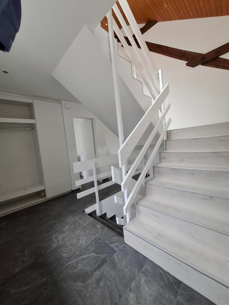 Maison mitoyenne charmante à Küttigen – Charme historique rencontre rénovation moderne (10)