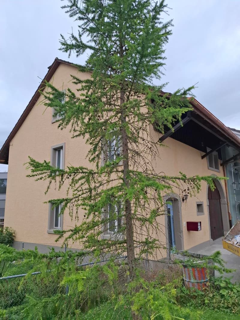 Maison mitoyenne charmante à Küttigen – Charme historique rencontre rénovation moderne (15)