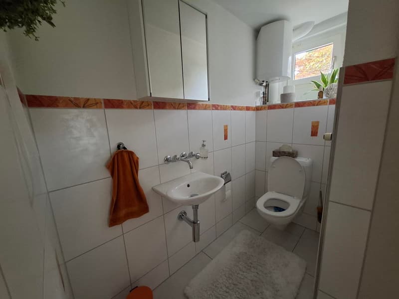 Spacious 3.5-room old building apartment with garden (3)